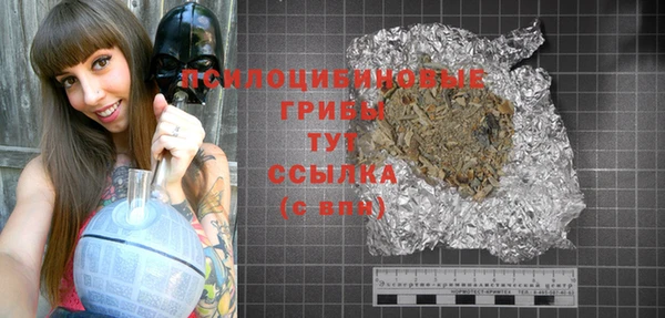 дурь Струнино