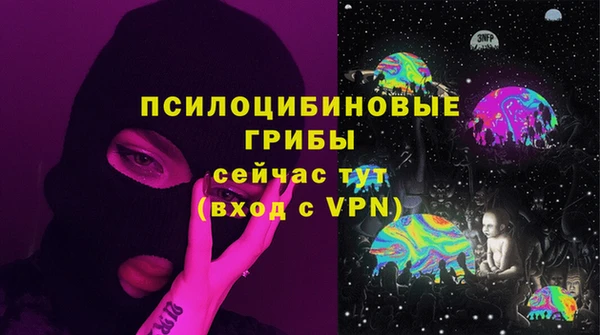 дурь Струнино