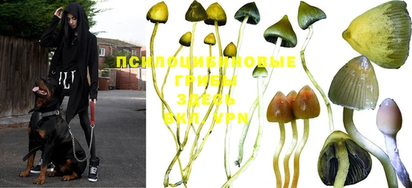 дурь Струнино