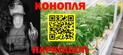 круглые Камышлов