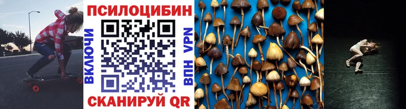 нарко площадка клад  Петрозаводск  Псилоцибиновые грибы мухоморы  наркошоп  kraken ссылки 