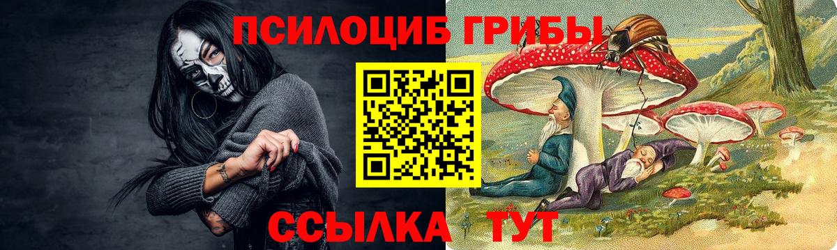Петрозаводск  Галлюциногенные грибы прущие грибы  Вход с VPN 